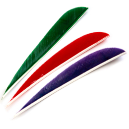 Trueflight Feathers - 4" Parabolic RW scarlet red