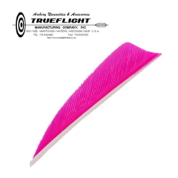 Trueflight Feathers - 3" Shield RW sky blue