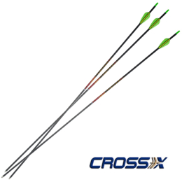 CrossX - Ambition Komplettpfeil mit Kunststoffbefiederung 700 - 32" Pfeillänge