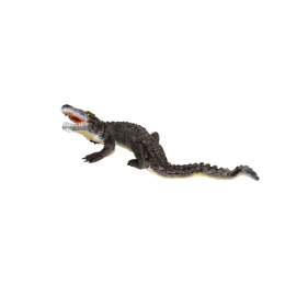 Franzbogen - Alligator gross